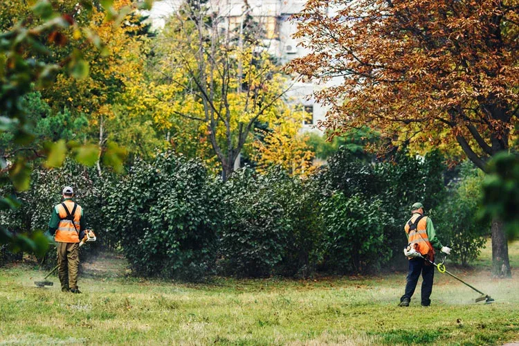 workers doing landscaping