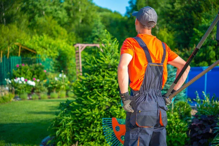 landscaping uniform tucson